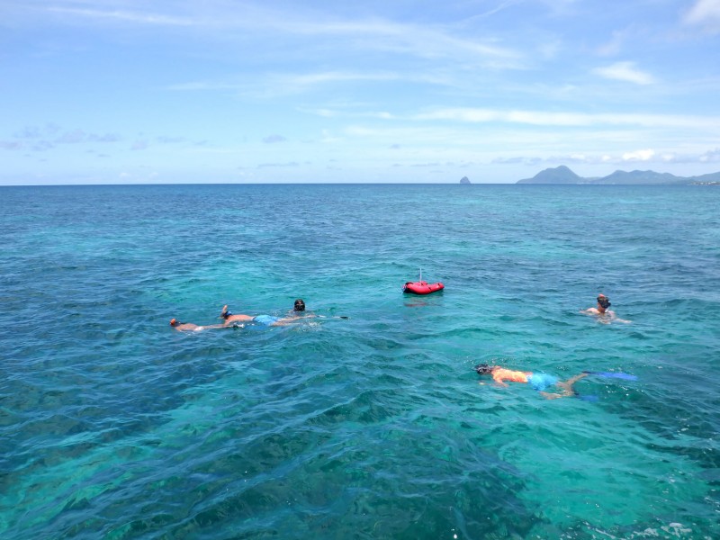 Snorkeling en Martinique - Les Aquanautes