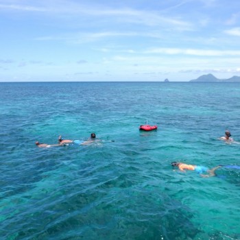 Snorkelling in Martinica