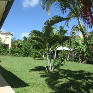 villa citronnelle martinique 04