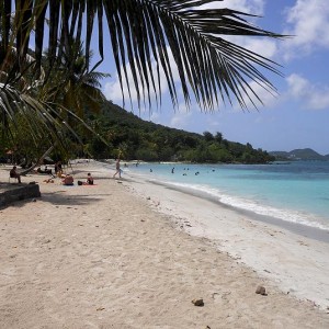 les-pieds-dans-l-eau-martinique-01