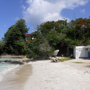 les-pieds-dans-l-eau-martinique-02