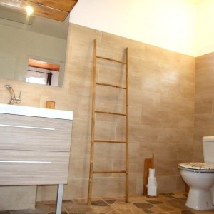residence salineblue martinique 16