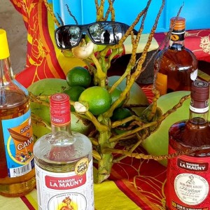 balades en mer martinique bebeche 08