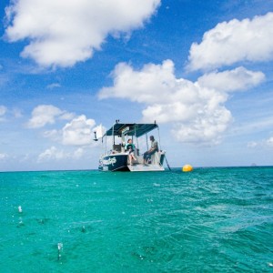 01-snorkeling-martinique