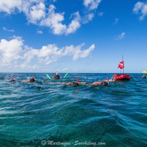 02-snorkeling-martinique