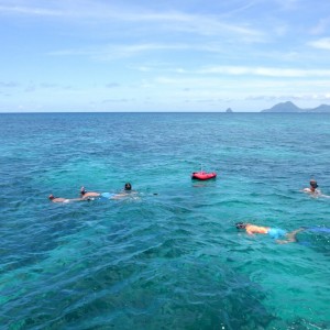 06-snorkeling-martinique