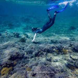 08-snorkeling-martinique